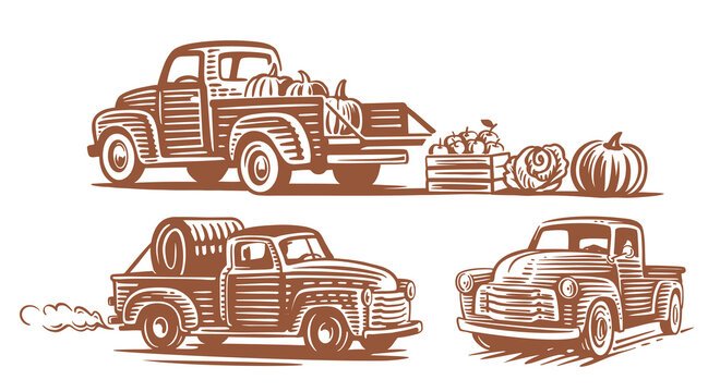 Retro pickup truck vector set. Hand Drawn