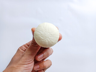 Hand hold embryo bud of a coconut tree.