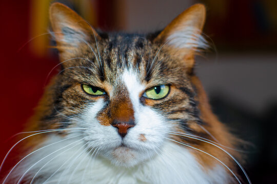 Are you talking to me?