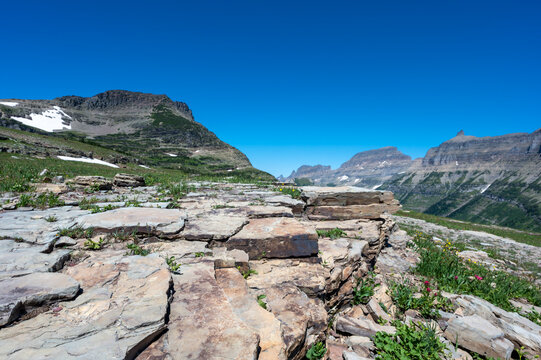 Sedimentary Rock Outcrop Along Logan Pass Trail In Glacier National Park, Montana. 