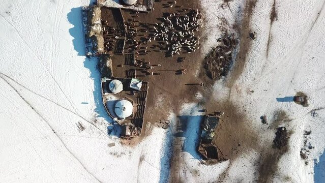 Village en Mongolie dans les montagne avec des agriculteurs, yourtes, mouton et chevaux.