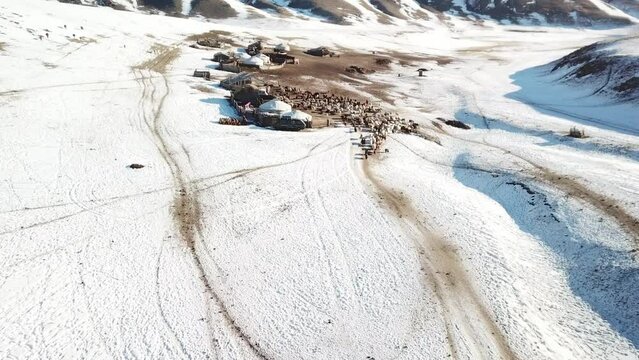 Village en Mongolie dans les montagne avec des agriculteurs, yourtes, mouton et chevaux.
