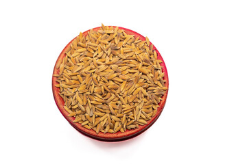 Fototapeta na wymiar Ripe rice seed close up texture Background