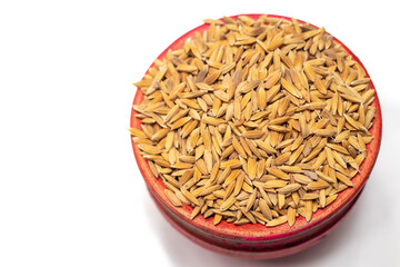 Ripe rice seed close up texture Background