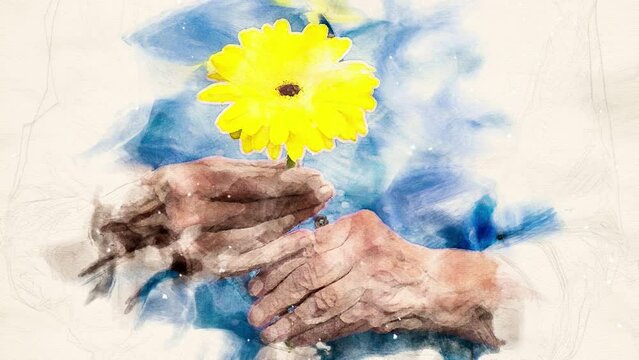 Cinemagraph of old womans hand holding a yellow flower in watercolour style
