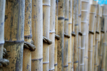 Bamboo natural fence dried sticks