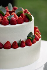 White butter cake decorated with strawberries and eucalyptus leaves
