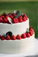 White butter cake decorated with strawberries and eucalyptus leaves

