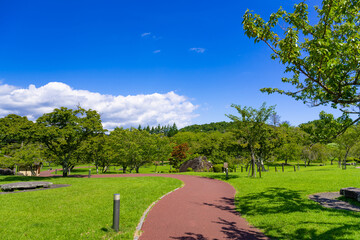 静岡県伊東市　夏のさくらの里　大室山