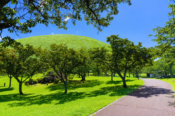 静岡県伊東市　夏のさくらの里　大室山