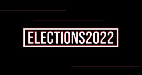 Elections text 2022, Vote
