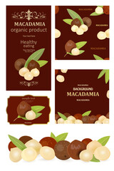 collection of package design element with macadamias. seamless t