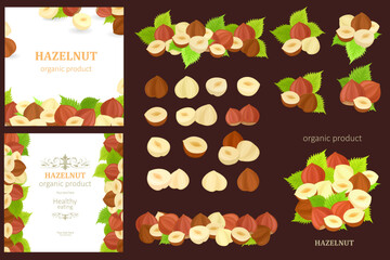 collection of borders with hazelnuts. nutty set of whole, half,