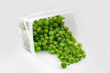Gooseberry. Bright green berries on a white background. A scattering of garden berries. Berries crumble from a plastic bucket..
