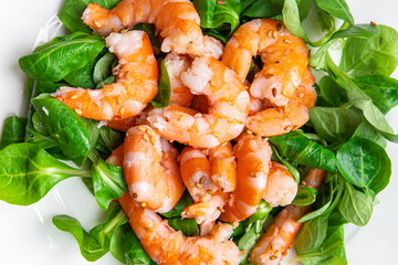 shrimp salad seafood healthy meal food snack diet on the table copy space food background rustic top view`