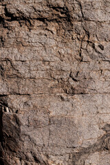 Fonde de textura de roca sólida con grietas