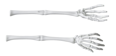 Menschliche Knochen, weiße Hände und Arme