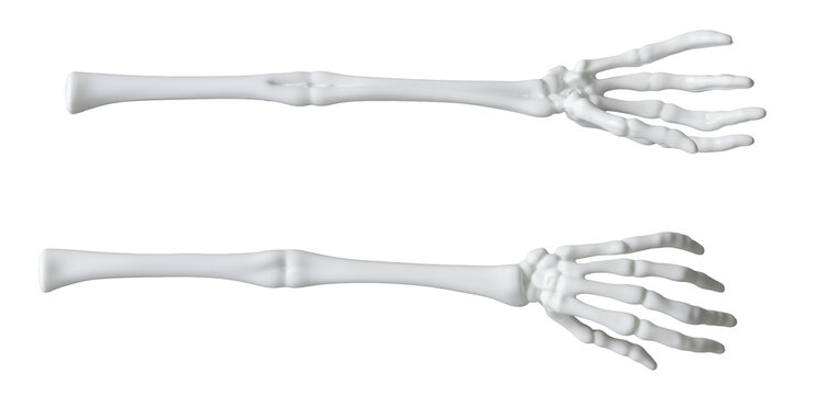Menschliche Knochen, weiße Hände und Arme