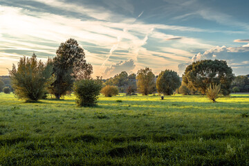 Abendstimmung in den Auwiesen, Roßwag, Vaihingen an der Enz, Baden-Württemberg, Deutschland