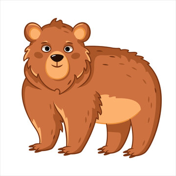 cute brown bear stands and looks straight. forest animals.