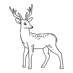A cute deer stands on a white background. Vector illustration with cute forest animals outline image
