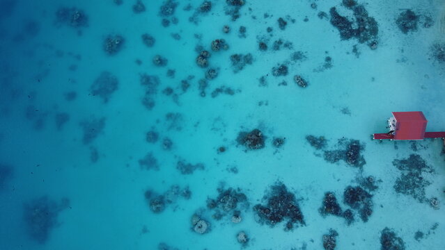 Aerial view of the ocean, Tuamotus, French Polynesia
