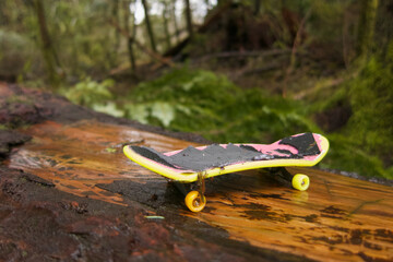Toy skateboard on a log