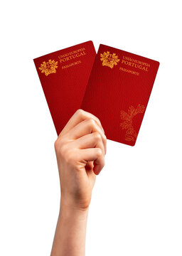 Conceito de Cidadania Portuguesa: M&atilde;o de mulher segurando dois passaportes de Portugal em fundo transparente PNG isolado