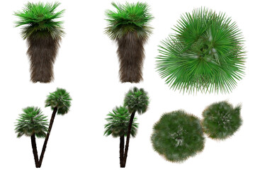 Pack of PNG vegetation. +6K. Tropical plants. Made from 3D model for compositing