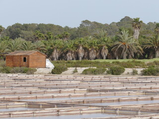 Salt fields of Es Trenc, Mallorca, Balearic Islands, Spain
