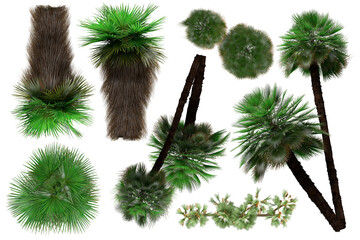 Pack of PNG vegetation. +6K. Tropical plants. Made from 3D model for compositing