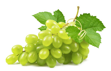 Grapes isolated. Bunch of ripe green grapes with leaves and vine on a white background. - obrazy, fototapety, plakaty