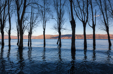 scenery in Dali yunnan China