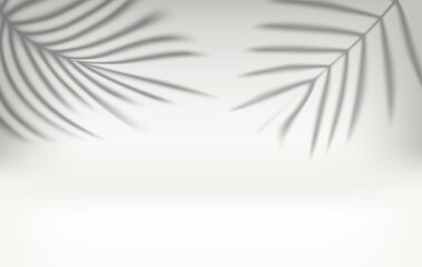 Obraz premium Bright interior with shadow of palm leaves on the wall. 3d illustration