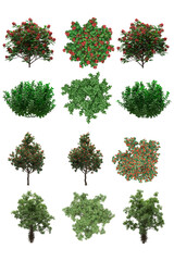 Pack of PNG vegetation. +6K. Generic Bushes Made from 3D model for compositing