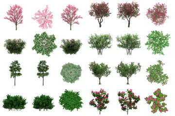 Pack of PNG vegetation. +6K. Generic Bushes Made from 3D model for compositing