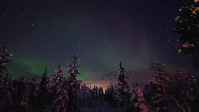 beautiful northern lights in dark sky, Finnish Lapland, cold winter with lot snow and blue sky, winter landscape on dark polar night with bright stars, snow-covered fluffy fir trees, spruce in snow