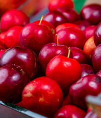 cherries. cherries at the market place. fruit for sale at the market place. close up of cherries. fruit for sale. tropical fruits. red fruits. 