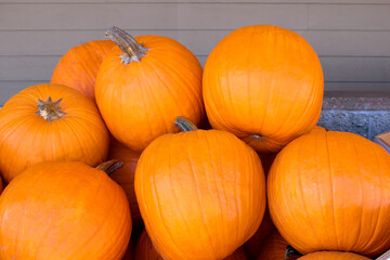 bright orange stacked pumpkins from fall harvest 