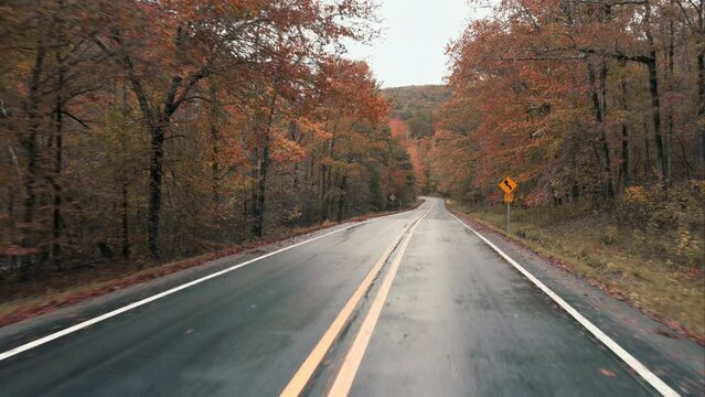 Autumn Forest Drive Through An Ozark Mountain Colorful Forest With Fall Leaves Under Overcast Damp Conditions 