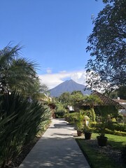 path in the park