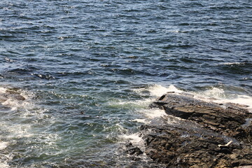 Hazardous shore with jagged rocks