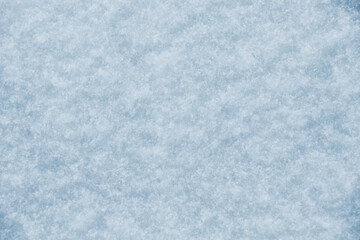 Texture of snow in sunny weather. Snow cover with snow crystals