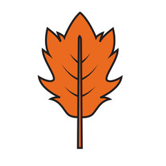 Orange autumn leaf graphic icon