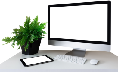 Workplace with computer tablet and Nephrolepis.