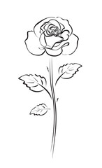 Ink rose with thorns and leaves