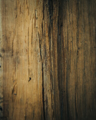 Obraz premium Wood texture