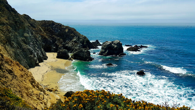 Tomales Point