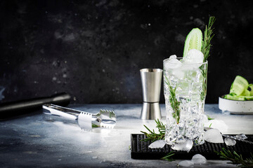 Gin tonic with fresh cucumber, long drink cocktail with dry gin, rosemary, tonic and ice. Black...