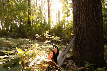 Lumberjack Work tool petrol Chainsaw